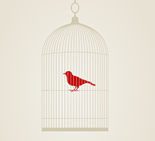 安全加密工具的DDOS平台