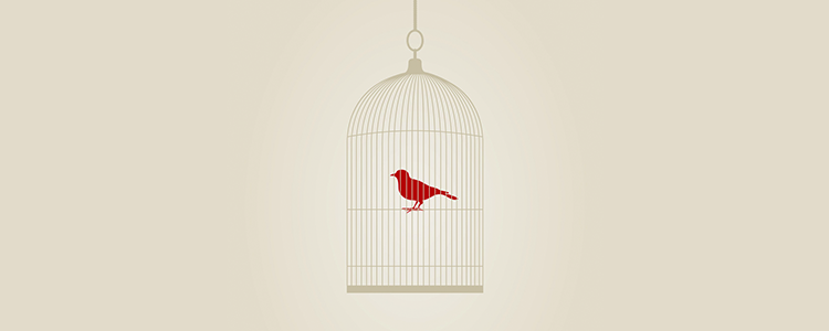 引领数字变革的DDOS平台